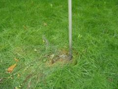 antenna base